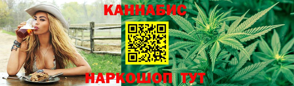 Канабис планчик Лосино-Петровский